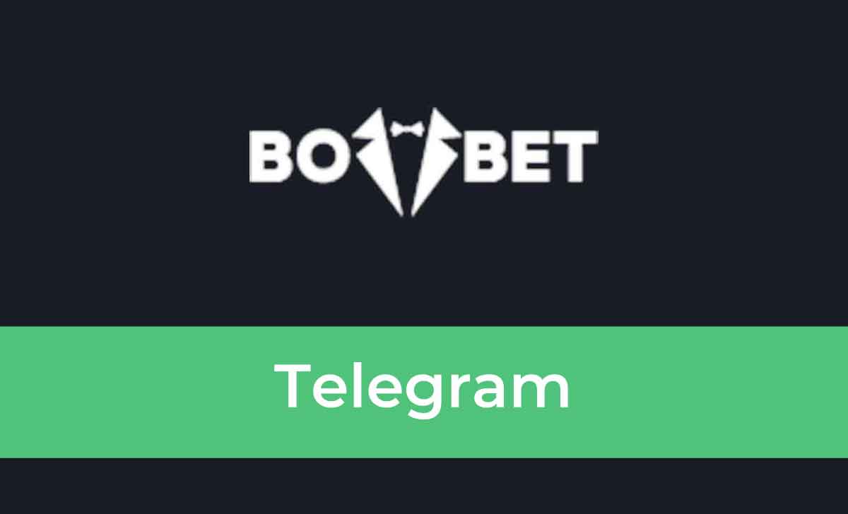 Bovbet Telegram